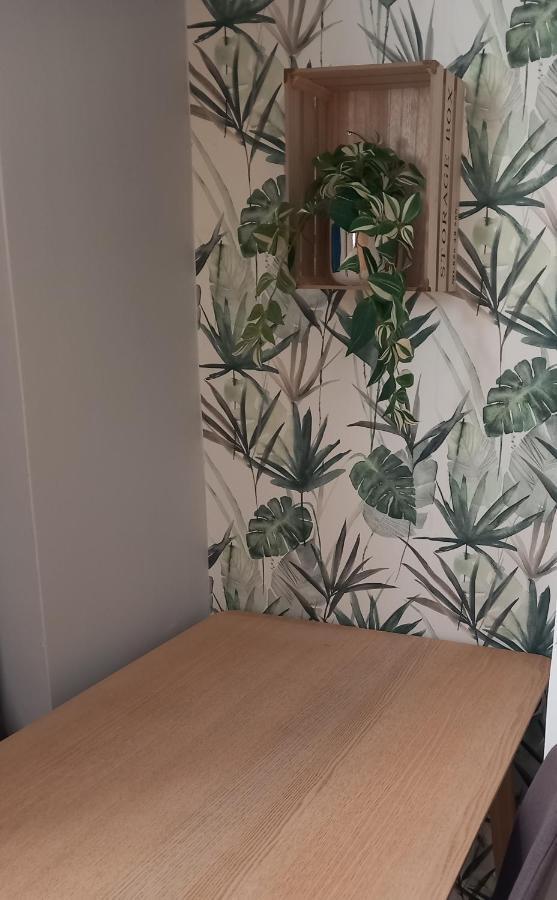 Hola Apartamenty Piotrkowska Łódź Exteriör bild